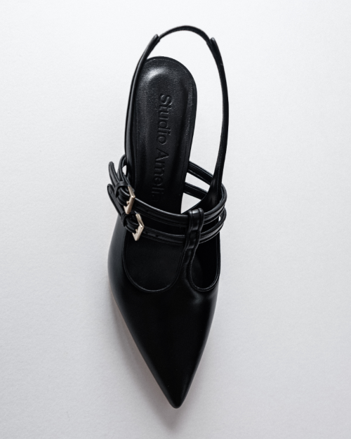 Black pointed-toe shoe with a buckle on a white background