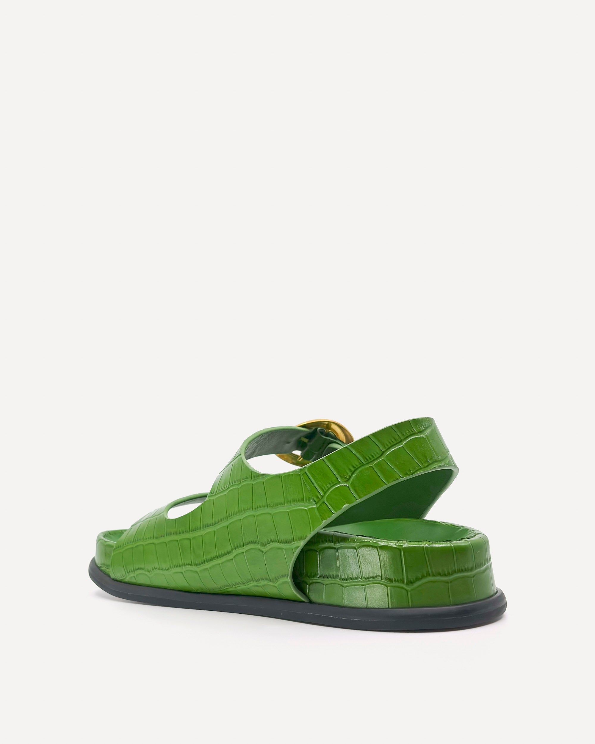 Allegra Chunky Flat Sandal | Sage Crocodile