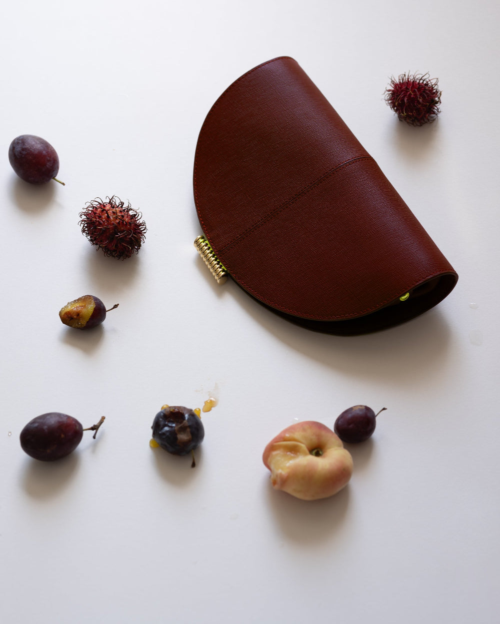 Brown leather pouch with gold zipper surrounded by small fruits on a white background